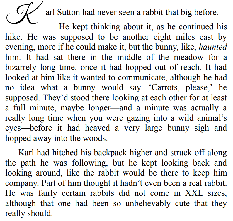 Somebunny to Love by Zoe Chant 