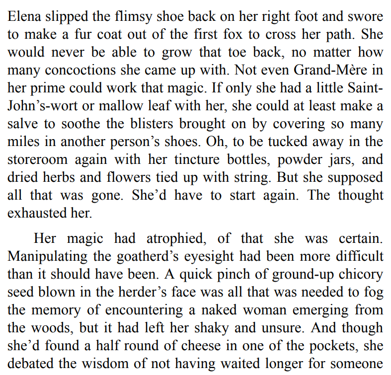 The Vine Witch by Luanne G. Smith