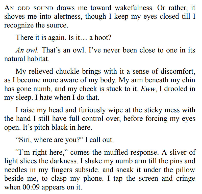 Valkyrie Confused by Sotia Lazu 