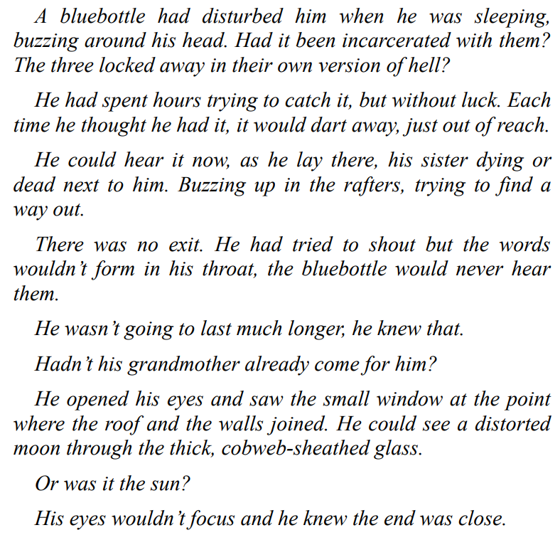 What the Shadows Hide by M J Lee 