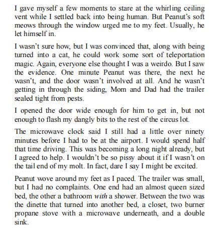 The Aerialist by Morgan Lysand PDF