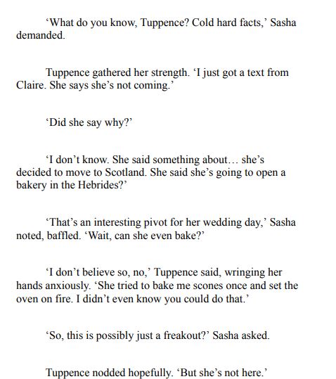 The Honeymoon Hijackers by Natasha West pdf