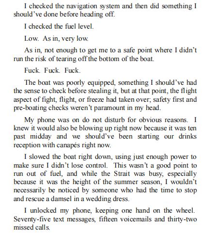 Wild Tides by Annie Dyer PDF