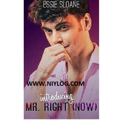 Introducing Mr. Right (Now) by Essie Sloane