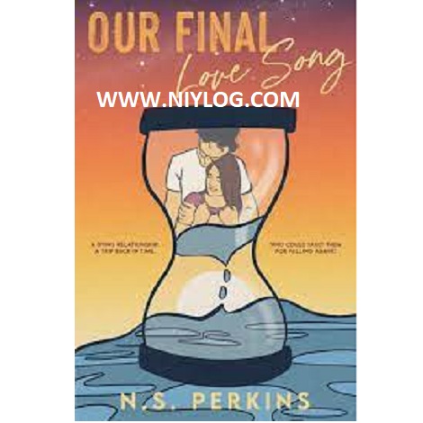 Our Final Love Song by N.S. Perkins