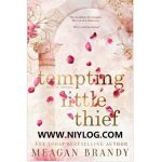 Tempting Little Thief by Meagan Brandy -WWW.NIYLOG.COM