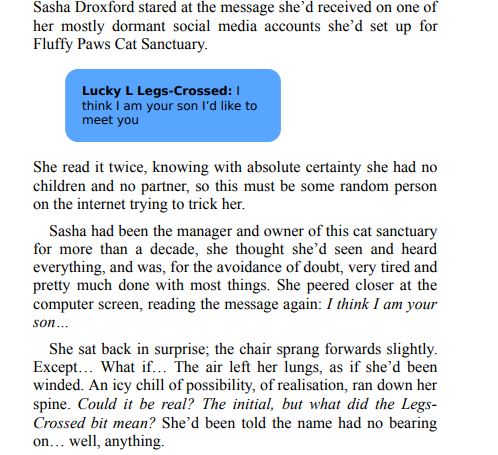 The Cosy Cat Society PDF