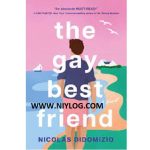 The Gay Best Friend by Nicolas DiDomizio