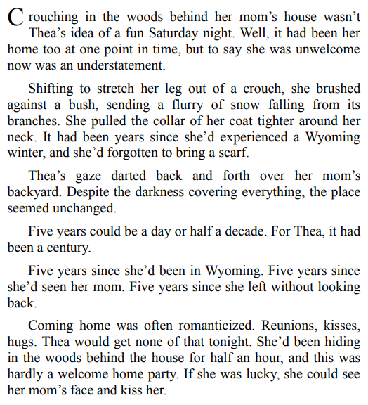 The Other Side by Mandi Blake 