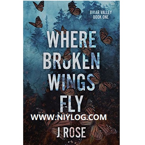 Where Broken Wings Fly by J Rose -www.niylog.com