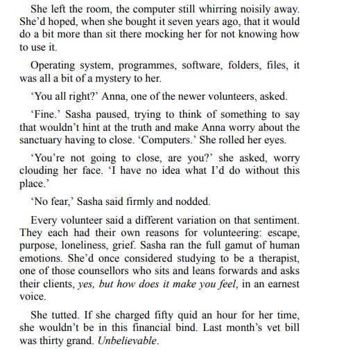 The Cosy Cat Society PDF