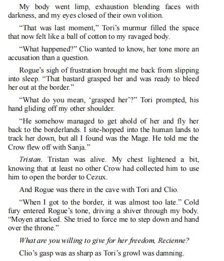 The Never Mage by Angelina J. Steffort PDF