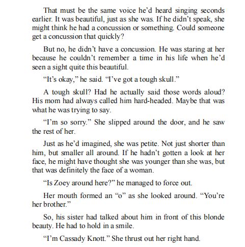 The Rugged Cowboy by Macie St. James PDF