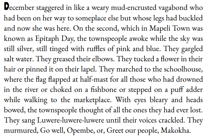 Things They Lost by Okwiri oduor 