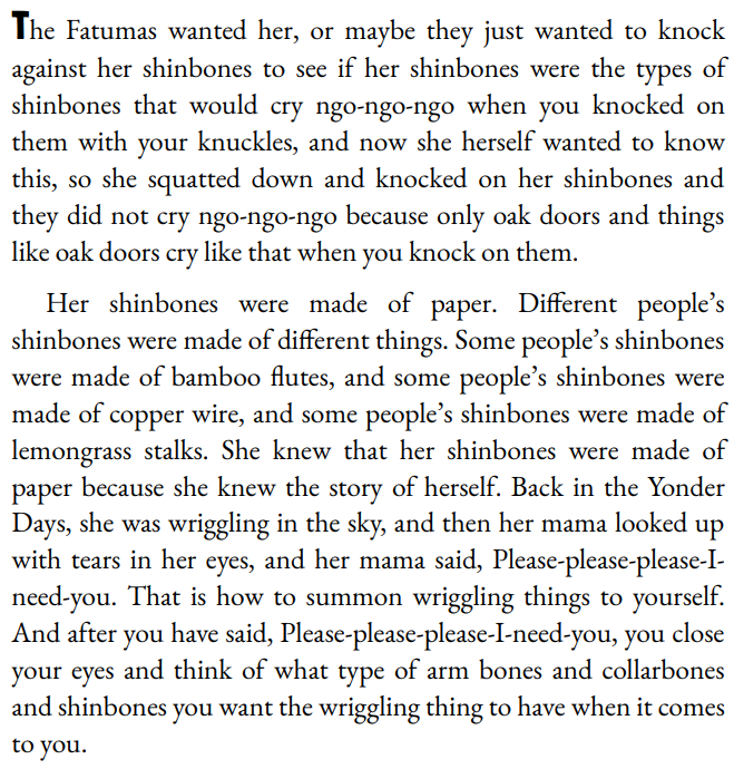 Things They Lost by Okwiri oduor 