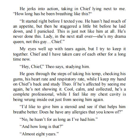 Someday by Willow Aster PDF