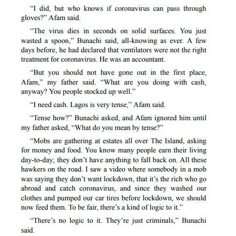 Dream Count by Chimamanda Ngozi Adichie