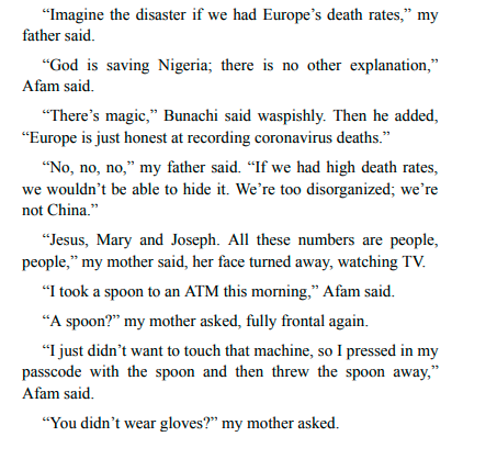 Dream Count by Chimamanda Ngozi Adichie