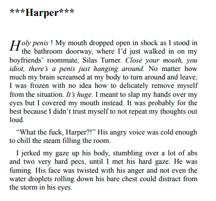 My Ex’s Roommates by Rebel Bloom 