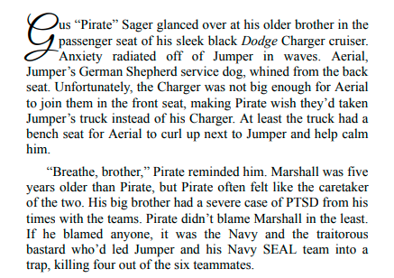 Pirate by Elise Gedicke