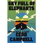 Sky Full of Elephants by Cebo Campbell