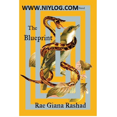 The Blueprint by Rae Giana Rashad