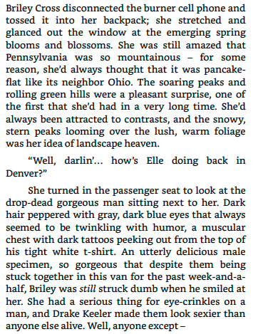 The Devil's Pair by Marysol James