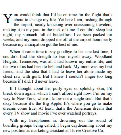 The New York Charm by Riley Winters