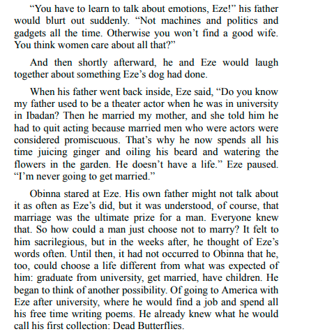 The Visit by Chimamanda Ngozi Adichie