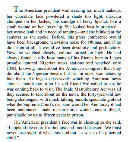 The Visit by Chimamanda Ngozi Adichie