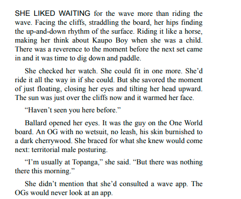 The Waiting by Michael Connelly