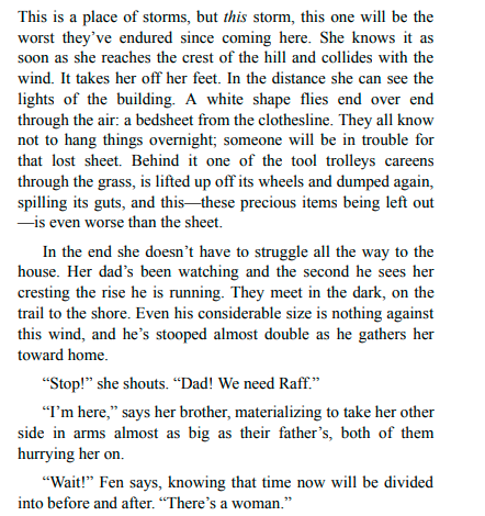 Wild Dark Shore by Charlotte McConaghy