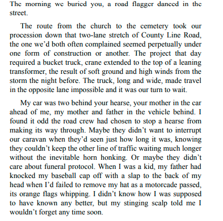 Devil Is Fine by John Vercher