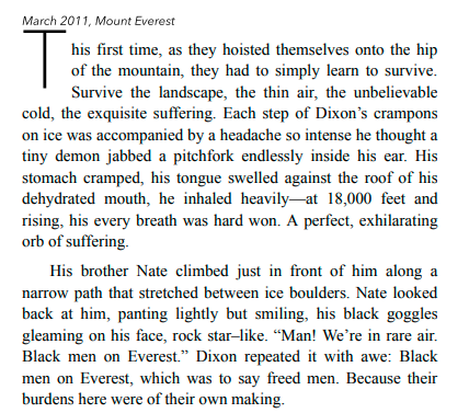 Dixon, Descending by Karen Outen