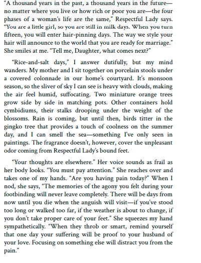 Lady Tan's Circle of Women by Lisa See