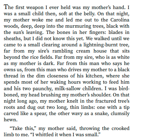 Let Us Descend by Jesmyn Ward