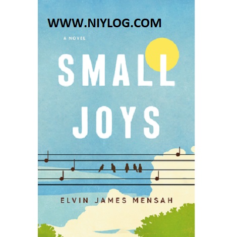 Small Joys by Elvin James Mensah