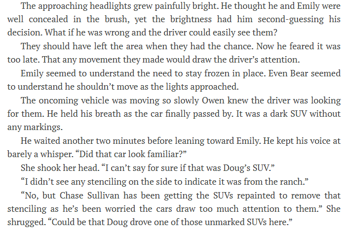 Valor by Laura Scott