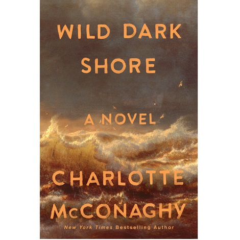 Wild Dark Shore by Charlotte McConaghy