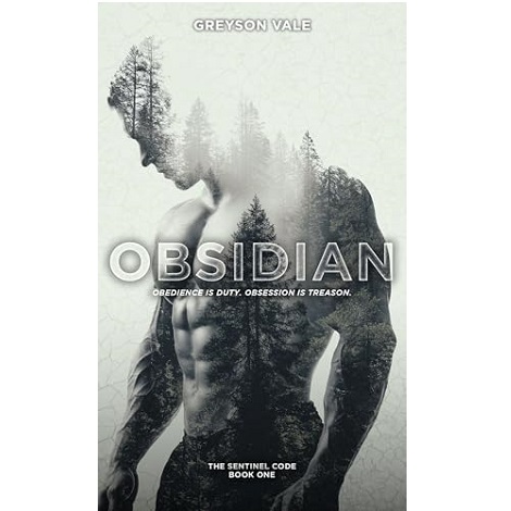Obsidian by Greyson Vale