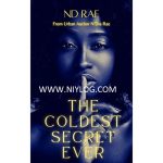 The Coldest Karma Ever by N'Dia Rae