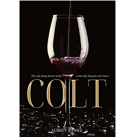Colt-Fowler-Enterprise-Book-1-Aubrey-Hawke