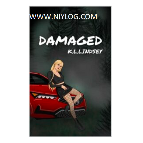 Damaged by K.L. Lindsey