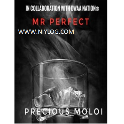 Mr Perfect by Precious Moloi