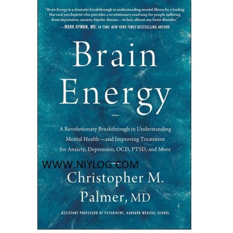 Brain Energy by Christopher M. Palmer MD