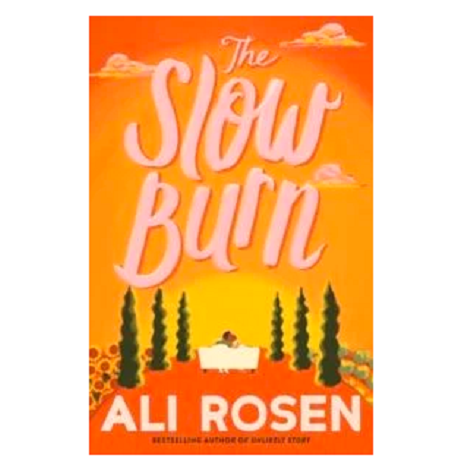 The Slow Burn by Ali Rosen