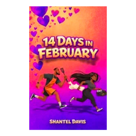 Fourteen days in February by Shantel Davis