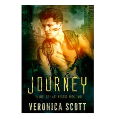 Journey by Veronica Scott