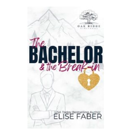 The Bachelor & the Break-in by Elise Faber