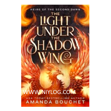 The Light Under the Shadow Wing by Amanda Bouchet